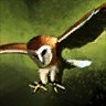 Datei:Sturzangriff (Vogel) Icon.png