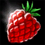 Datei:Himbeere Icon.png