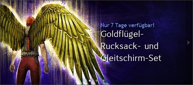 Datei:Goldfederflügel-Gleitschirm-Kombo Werbung.jpg