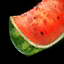 Scheibe Wassermelone Icon.png
