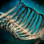 Ur-Leviathan-Brustkorb Gebogen Icon.png