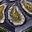 Frittierte Auster Icon.png