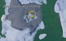 Sternenkarte Große Geister-Schneeleopardin Karte.jpg