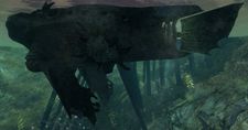 Das zerstörte U-Boot