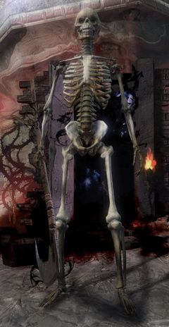 Legende Skelett-Lich.jpg