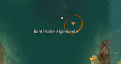 Tötet den Blutsteinverrückten Hai (Benthische Algenbeete) Karte.jpg