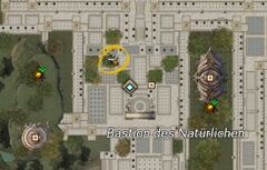 Astralwachen-Magierin (Bastion des Natürlichen) Karte.jpg