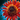 Rote Sonnenblume Icon.png