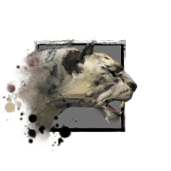 Datei:Junger Schneeleopard Icon.png