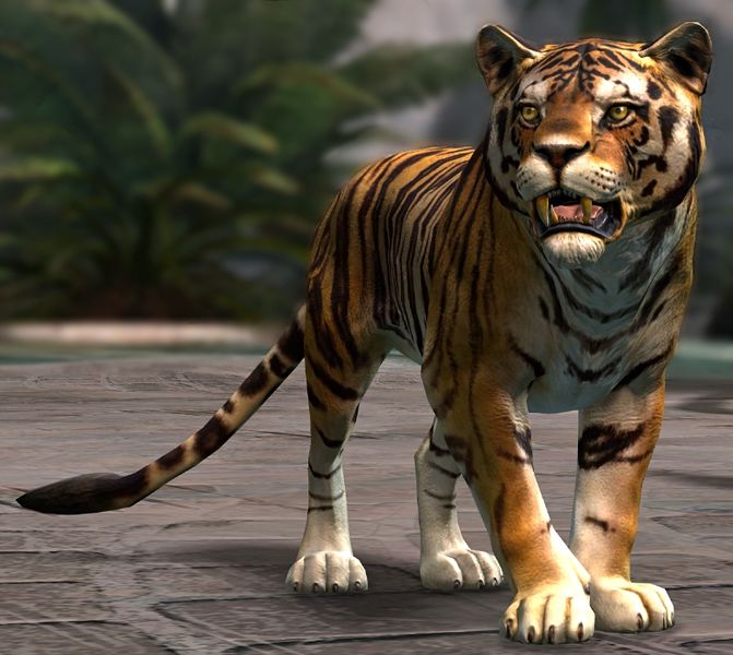 Datei:Tiger.jpg