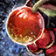 Datei:Dicke Winterbeere Icon.png