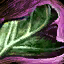 Datei:Orchideen-Epauletten Icon.png
