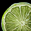 Datei:Limette Icon.png