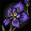 Datei:"Shing Jea"-Orchidee-Blütenblatt Icon.png