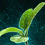 Datei:Spinat auskeimen lassen Icon.png