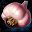 Datei:Knoblauchknolle Icon.png