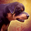 Datei:Mini Rottweiler Icon.png