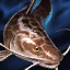 Datei:Blindwels Icon.png