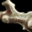 Datei:Antiker Knochen Icon.png