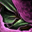 Datei:Orchideen-Stiefel Icon.png