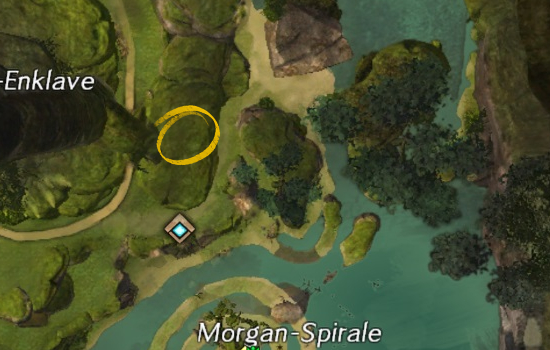 Datei:Junge Dschungelspinne (Morgan-Spirale) Karte.jpg