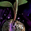 Datei:Hauspflanzen-Sprössling Icon.png