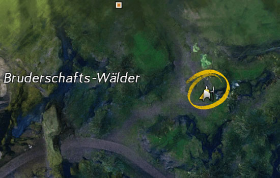 Datei:Belagerungs-Ansturm-Echowald Karte.jpg