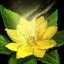Datei:Gepresste Kitzelbeeren-Freundschaftsblume der Nrocroc Icon.png