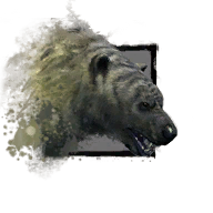 Datei:Junger Eisbär Icon.png