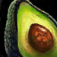 Datei:Avocado Icon.png