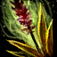 Datei:Stinkende Gladiole (Gegenstand) Icon.png