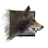 Junger Wolf Icon.png