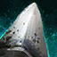 Datei:Enormer-Megalodon-Zahn Icon.png
