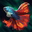 Datei:Kampffisch Icon.png