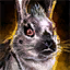 Datei:Windfleck Icon.png