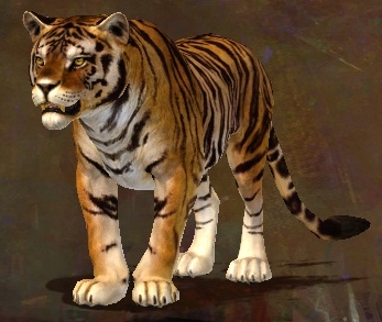 Datei:Endloser Zauberkatzen-Trank Tiger.jpg