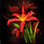 Datei:Konservierte rote Iris (Meisterwerk) Icon.png