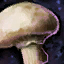 Datei:Pilz Icon.png