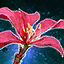 Datei:Pistazienbaum-Blüte Icon.png