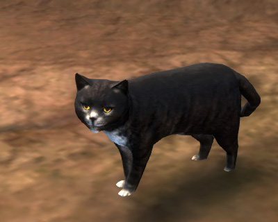 Datei:Katze (schwarz).jpg