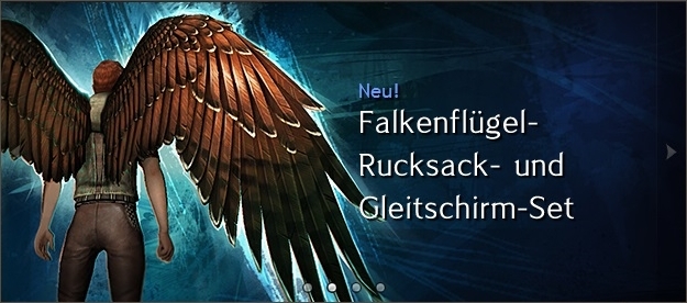 Datei:Falkenflügel-Gleitschirm-Kombo Werbung.jpg