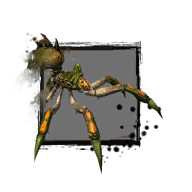 Datei:Junge Waldspinne Icon.png