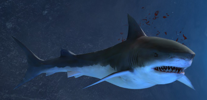 Datei:Legende Blutsteinverrückter Hai.jpg