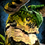Datei:Glademire Icon.png
