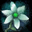 Datei:Tiare-Blume Icon.png