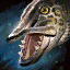 Muskellunge Icon.png