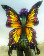 Schmetterlingsflügel-Rucksack.jpg