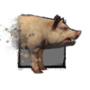 Junges Schwein Icon.png