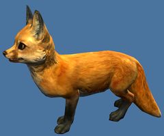 Mini Fuchs-Welpe.jpg