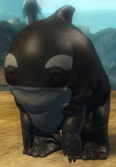 Schwarzer Quaggan-Trank.jpg